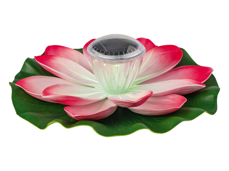 Livarno home Solární LED dekorace (vodní lilie)