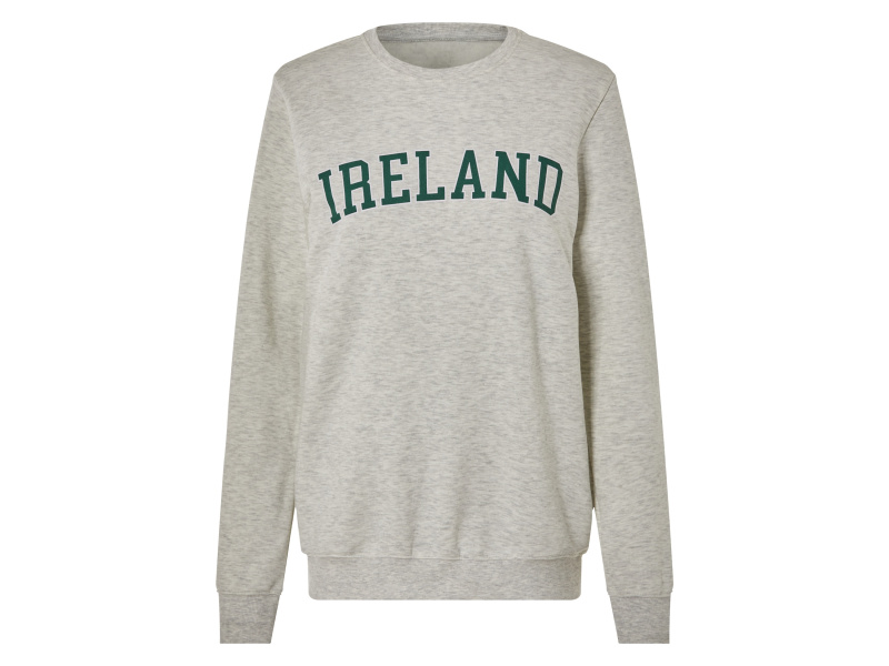 Dámská / Pánská mikina (L, šedá)