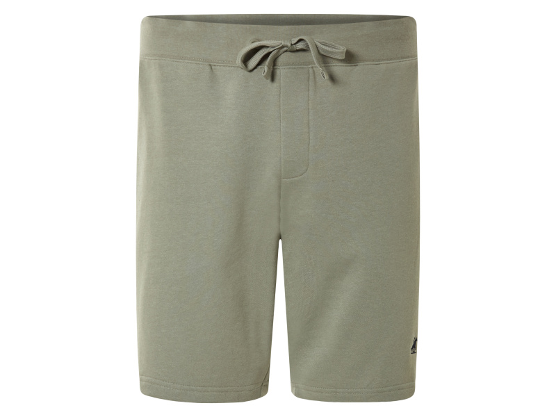 Livergy® Pánské teplákové kraťasy (zelená, L (52/54))