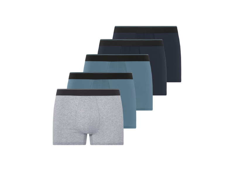 Livergy® Pánské boxerky, 5 kusů (modrá/šedá, 7/Xl)
