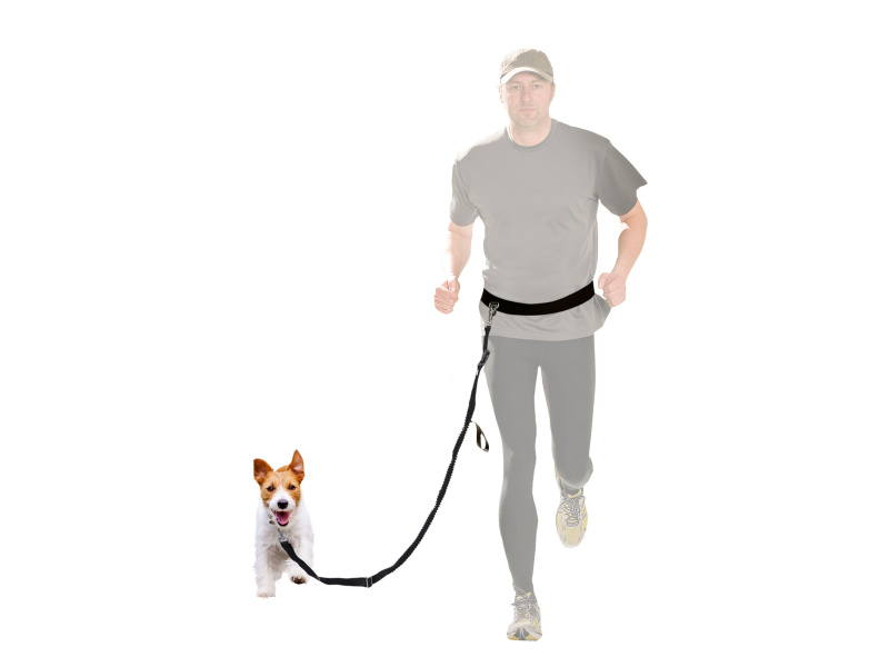 zoofari® Vodítko pro psy / Sada obojku a vodítka (vodítko na běhání)