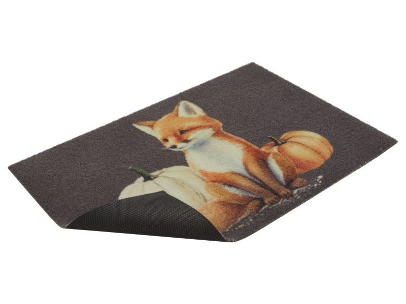 Livarno home Rohožka, 40 x 60 cm (liška)