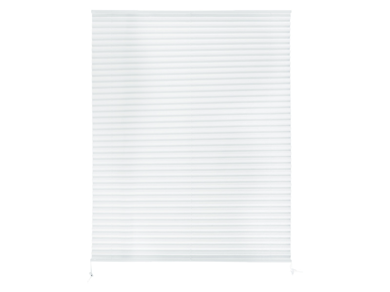 Livarno home Plisovaná roleta, 100 x 130 cm (bílá)