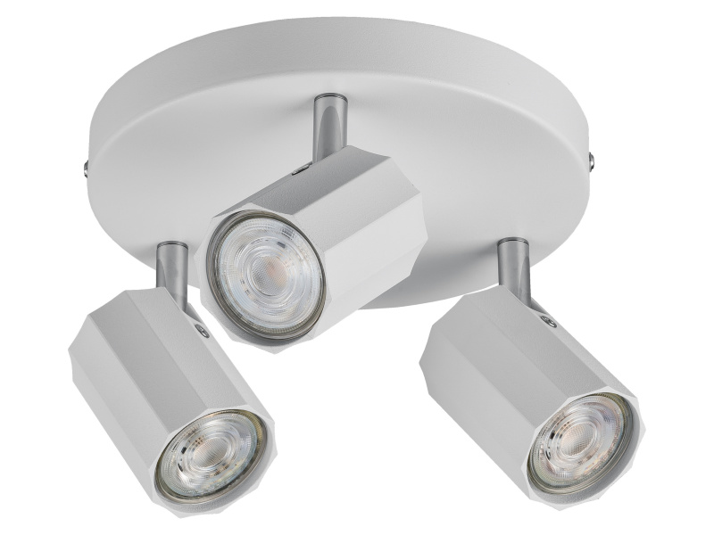 Livarno home Stropní / Nástěnné LED svítidlo Theia (stropní bodové svítidlo, matná bílá)