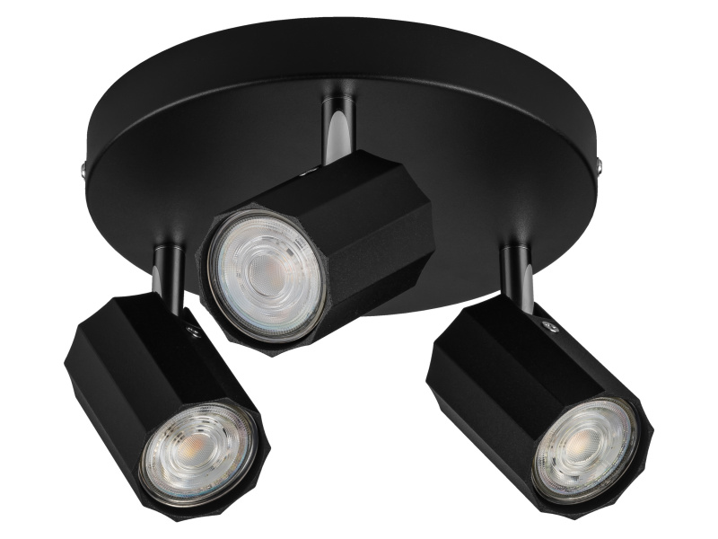 Livarno home Stropní / Nástěnné LED svítidlo Theia (stropní bodové svítidlo, matná černá)