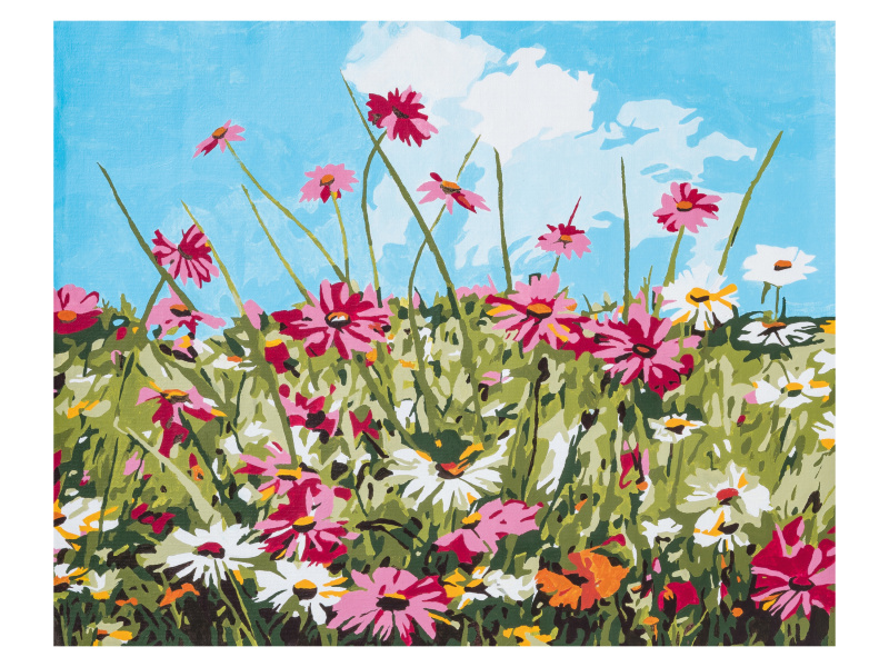 crelando® Malování podle čísel (květiny)