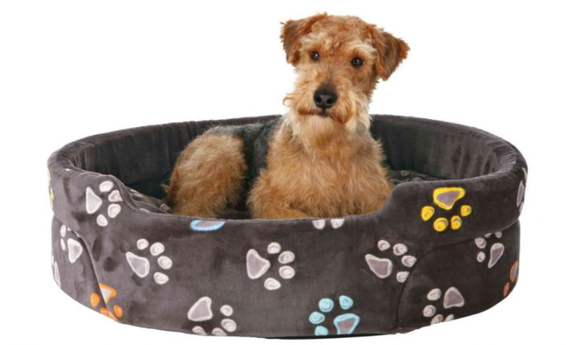 Oválný pelech JIMMY šedý s tlapkami 55 x 45 cm 