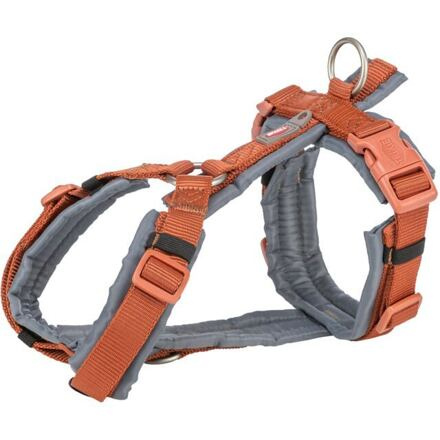 Premium trekingový postroj - rezavá/grafit XL: 80-97 cm/25 mm