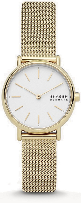 Skagen Signatur Lille SKW2693