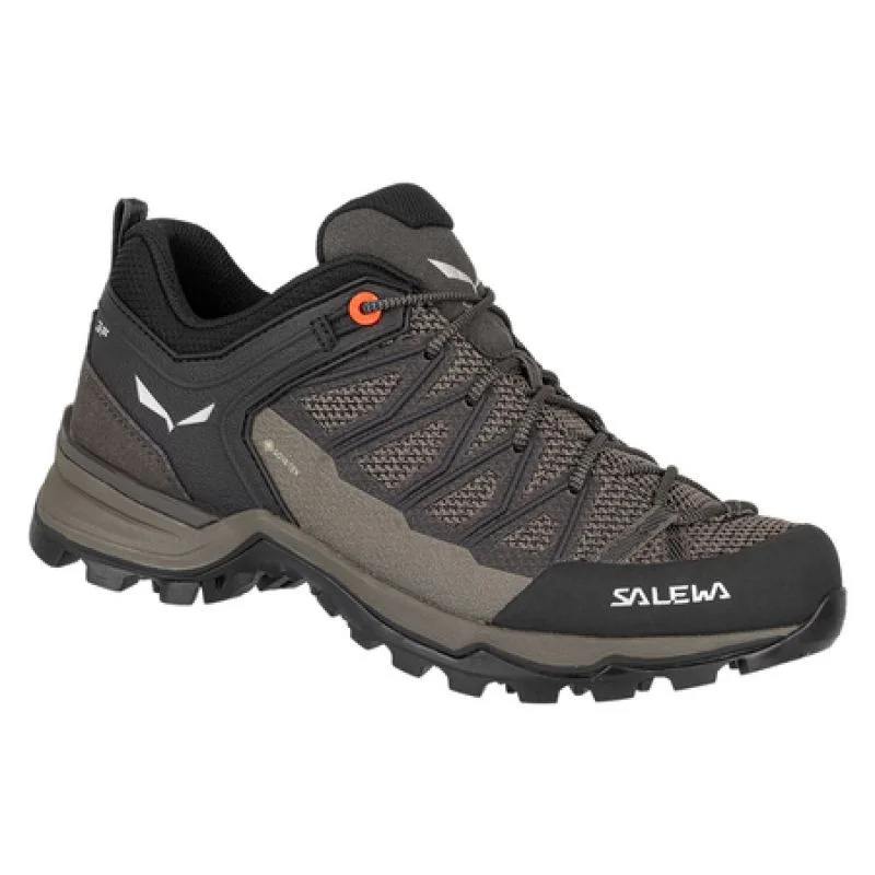 Salewa Mtn Trainer Lite GTX W dámské trekové boty 61362-7517 EU 40
