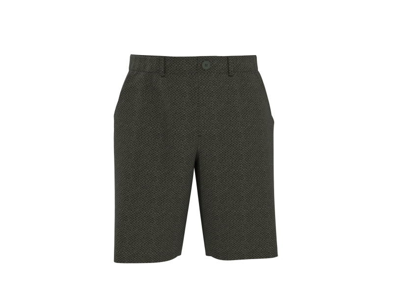 esmara Men Pánské kraťasy (zelená, M (48/50))