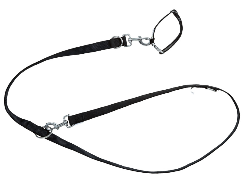 zoofari® Sada obojku a vodítka pro psy (M, černá)