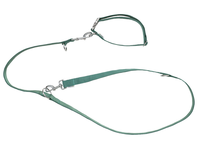 zoofari® Sada obojku a vodítka pro psy (M, zelená)