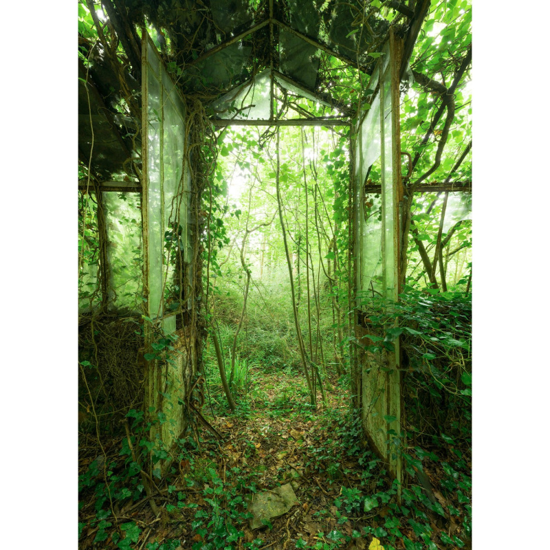 Komar Vliesová fototapeta Greenhouse 200 x 250 cm