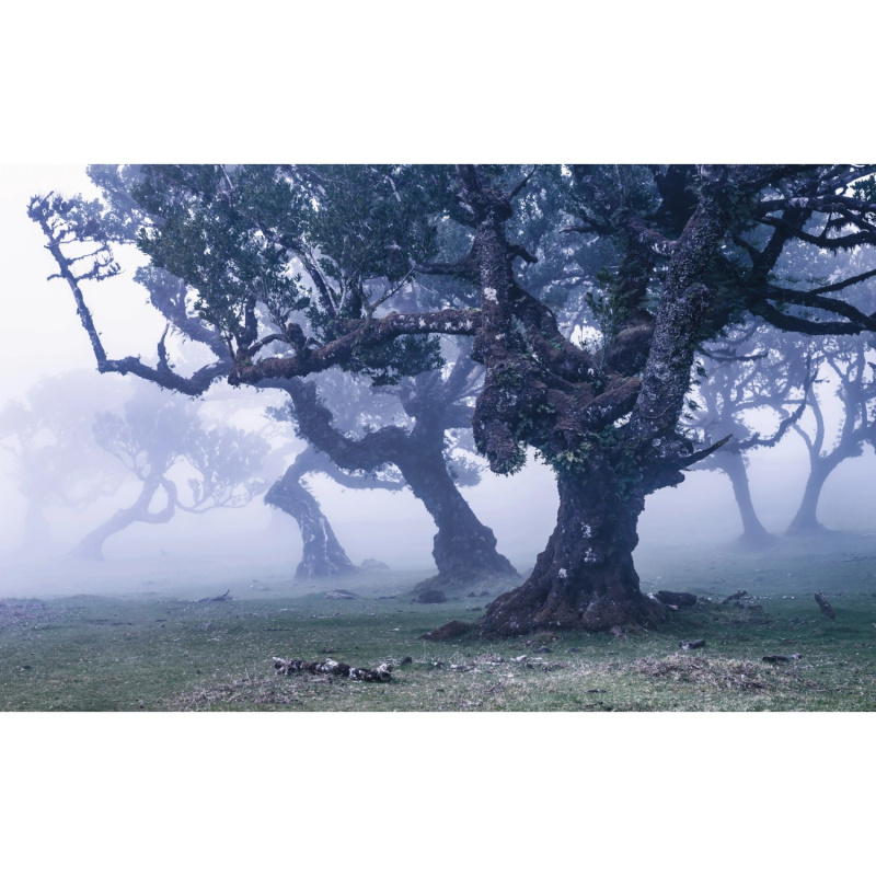 Komar Vliesová fototapeta Ghost Line 400 x 250 cm