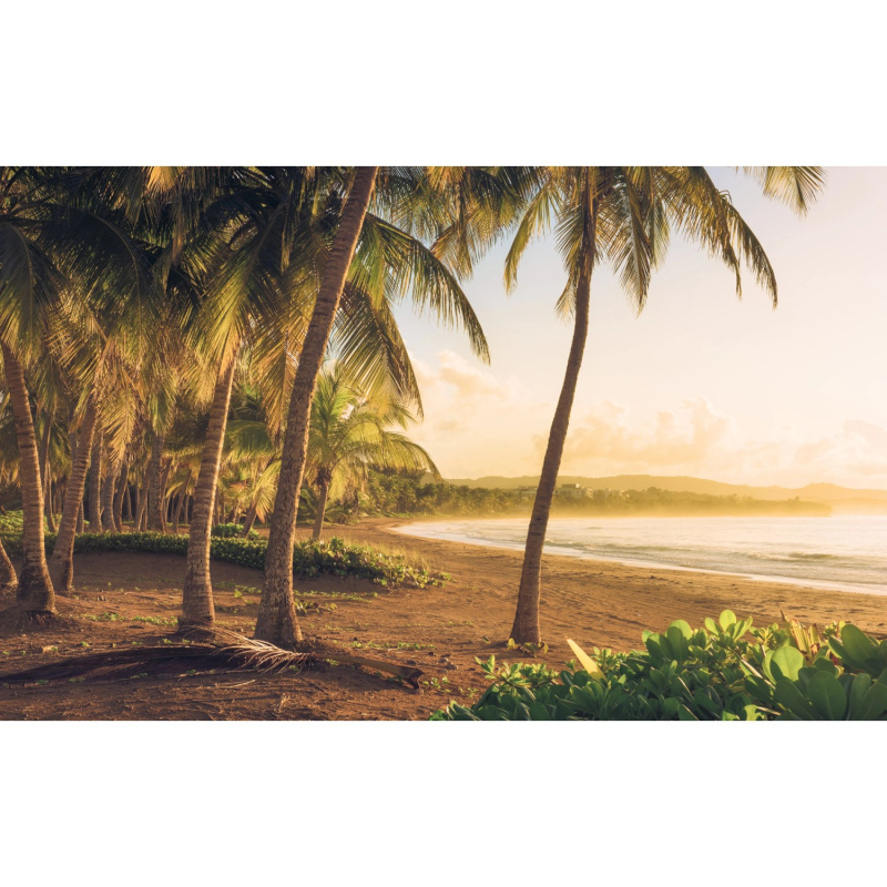 Komar Vliesová fototapeta Golden Lands 400 x 250 cm