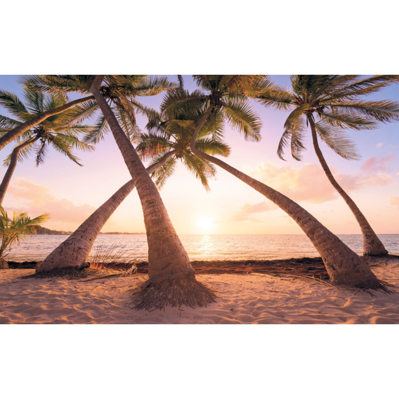 Komar Vliesová fototapeta Reaching the Sun 400 x 250 cm