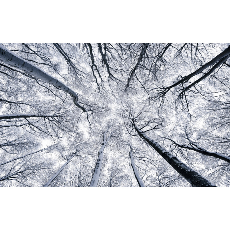 Komar Vliesová fototapeta Up 400 x 250 cm