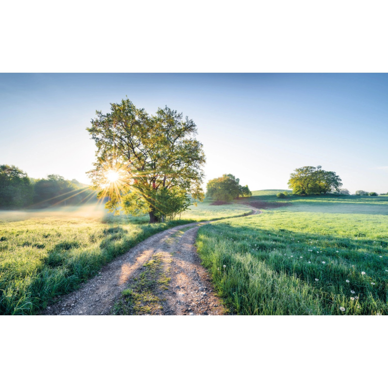 Komar Vliesová fototapeta A New Day in Paradise 400 x 250 cm