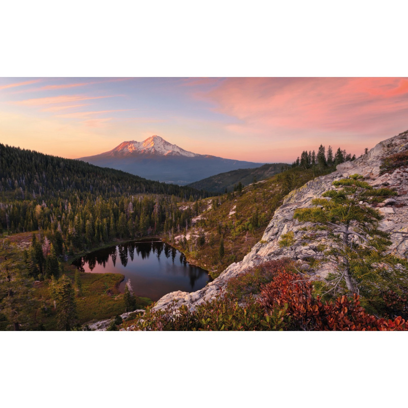 Komar Vliesová fototapeta Between the Light 450 x 280 cm