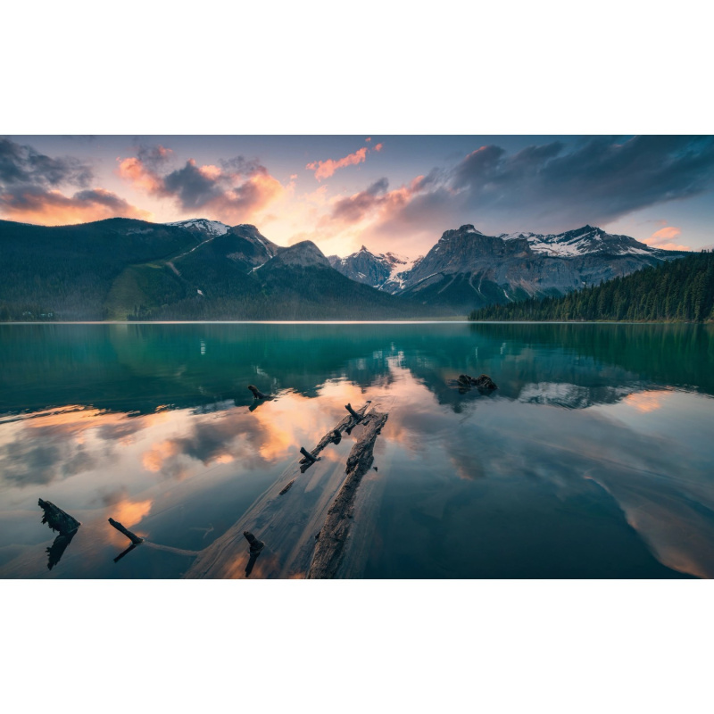 Komar Vliesová fototapeta Burning Emerald 450 x 280 cm