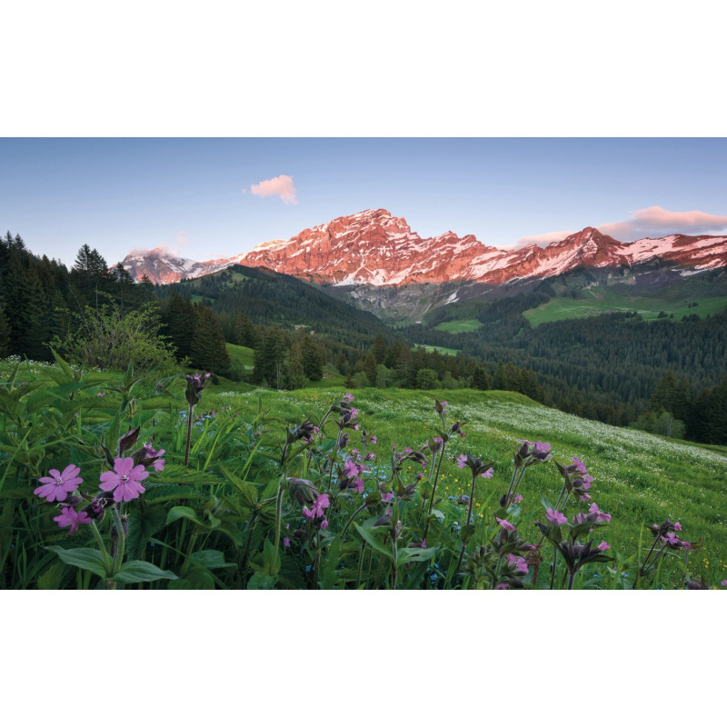 Komar Vliesová fototapeta Malebné Švýcarsko, 450 x 280 cm