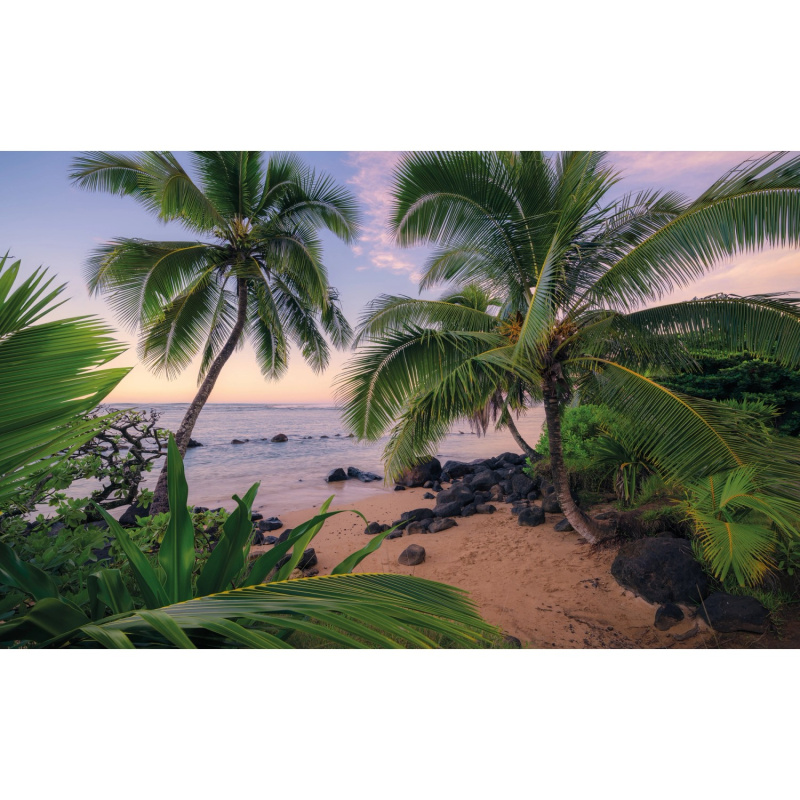 Komar Vliesová fototapeta Hawaiian Dreams, 450 x 280 cm