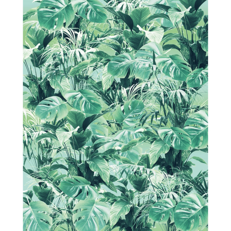 Komar Vliesová fototapeta Evergreen 200 x 250 cm