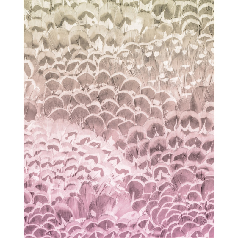 Komar Vliesová fototapeta Pale Feathers 200 x 250 cm
