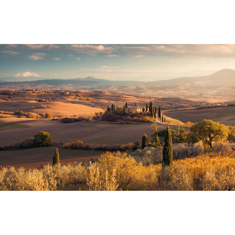 Komar Vliesová fototapeta Toskanagold 400 x 250 cm