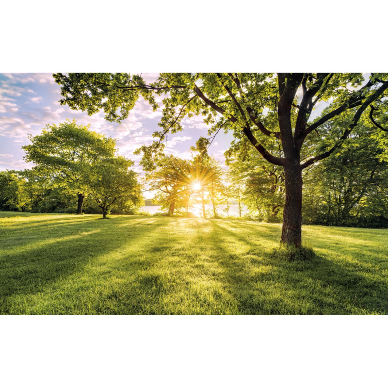 Komar Vliesová fototapeta Golden Moment 400 x 250 cm