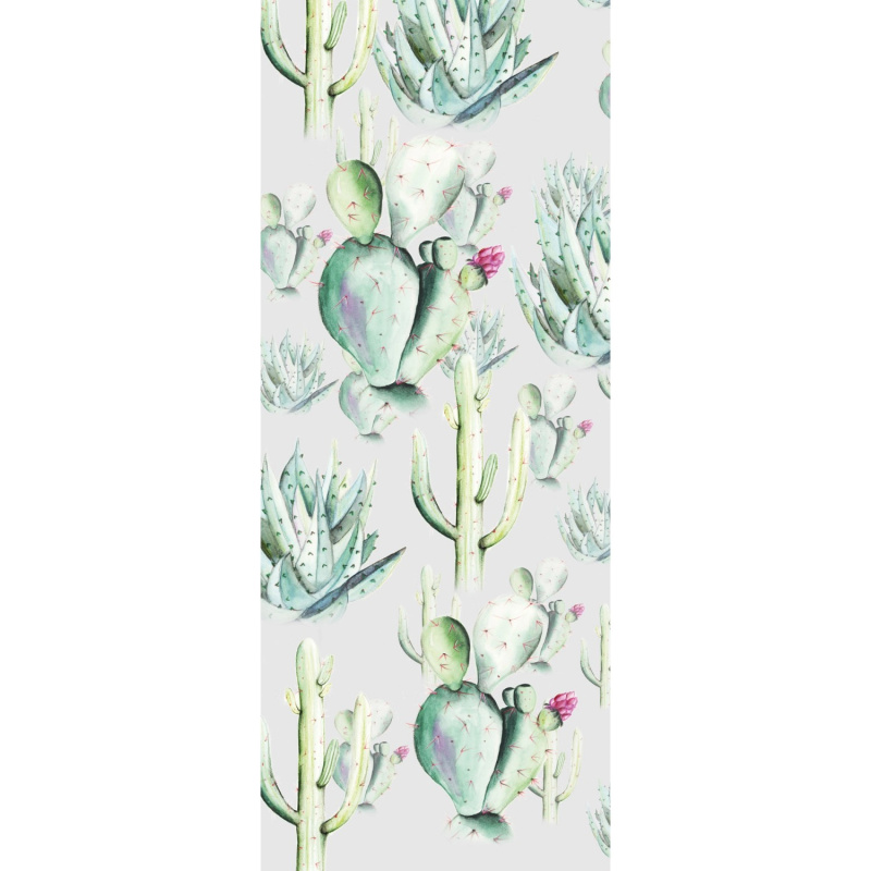 Komar Vliesová fototapeta Cactus Grey 100 x 250 cm