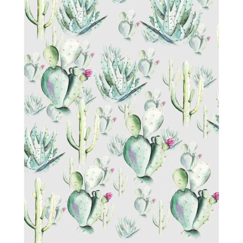 Komar Vliesová fototapeta Cactus Grey 200 x 250 cm