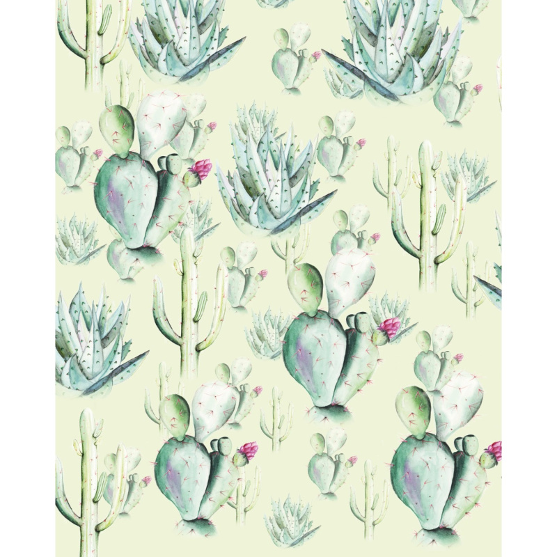 Komar Vliesová fototapeta Cactus Green 200 x 250 cm