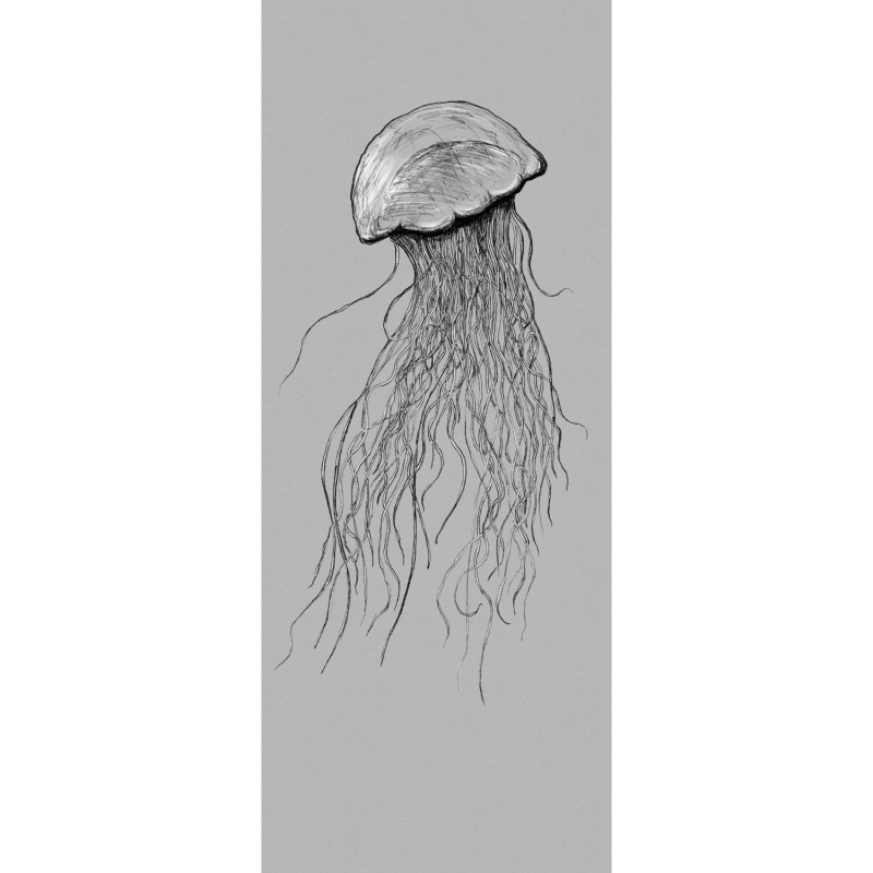 Komar Vliesová fototapeta Jellyfish 100 x 250 cm