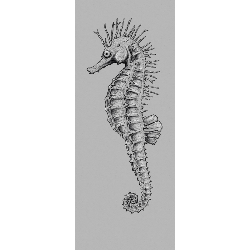 Komar Vliesová fototapeta Seahorse 100 x 250 cm