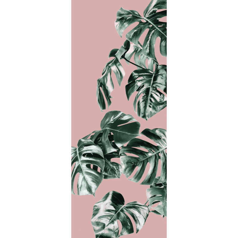 Komar Vliesová fototapeta Monstera Rosé 100 x 250 cm