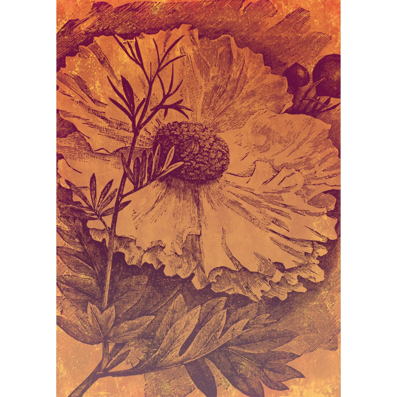 Komar Vliesová fototapeta Harvest 200 x 280 cm