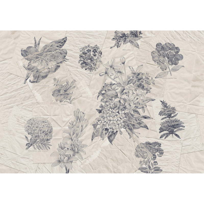 Komar Vliesová fototapeta Botanical Papers 400 x 280 cm