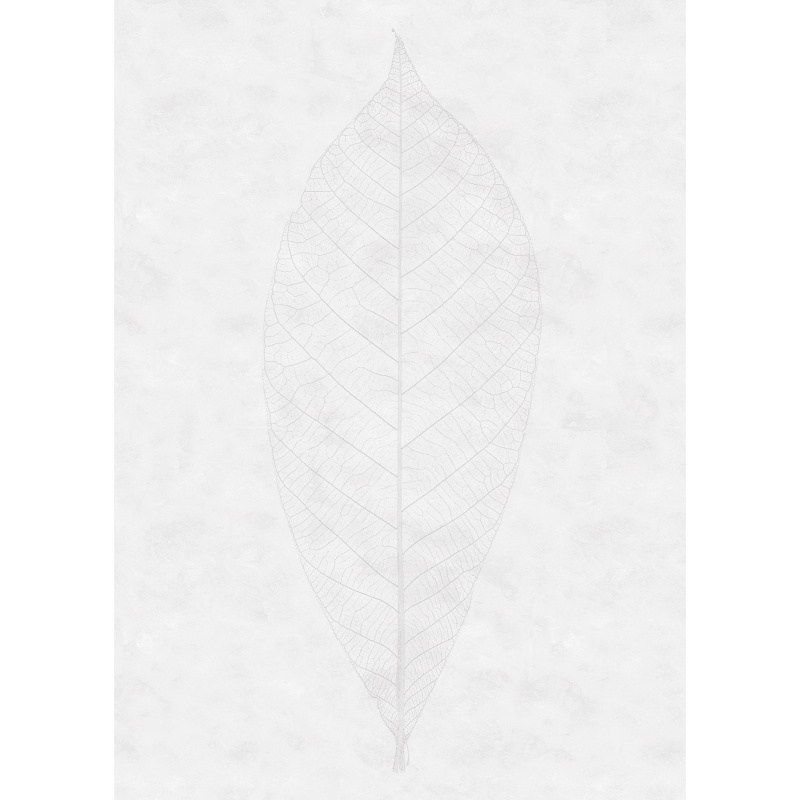 Komar Vliesová fototapeta Decent Leaf 200 x 280 cm