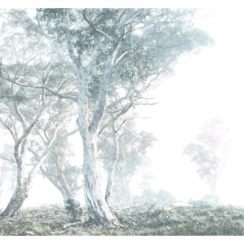 Komar Vliesová fototapeta Magic Trees 300 x 280 cm
