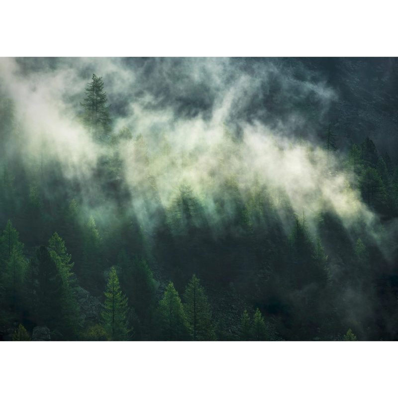 Komar Vliesová fototapeta Misty Crowns 350 x 250 cm