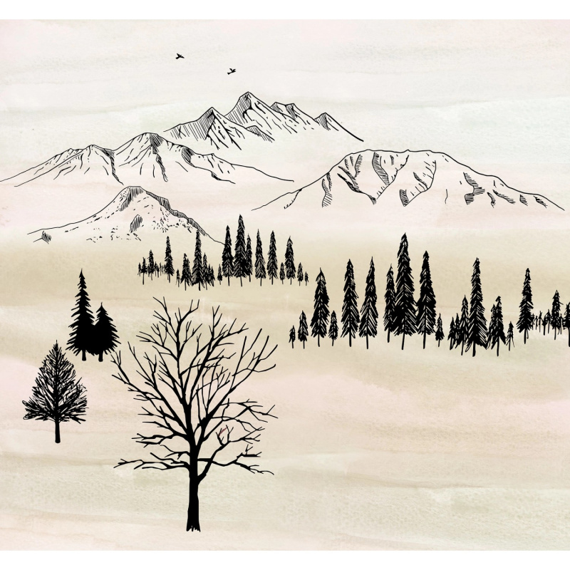 Komar Vliesová fototapeta Backcountry 300 x 280 cm