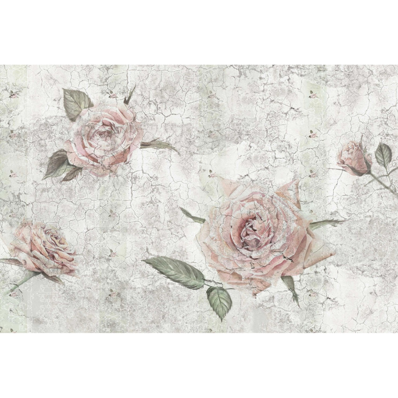 Komar Vliesová fototapeta Tantinet 400 x 260 cm