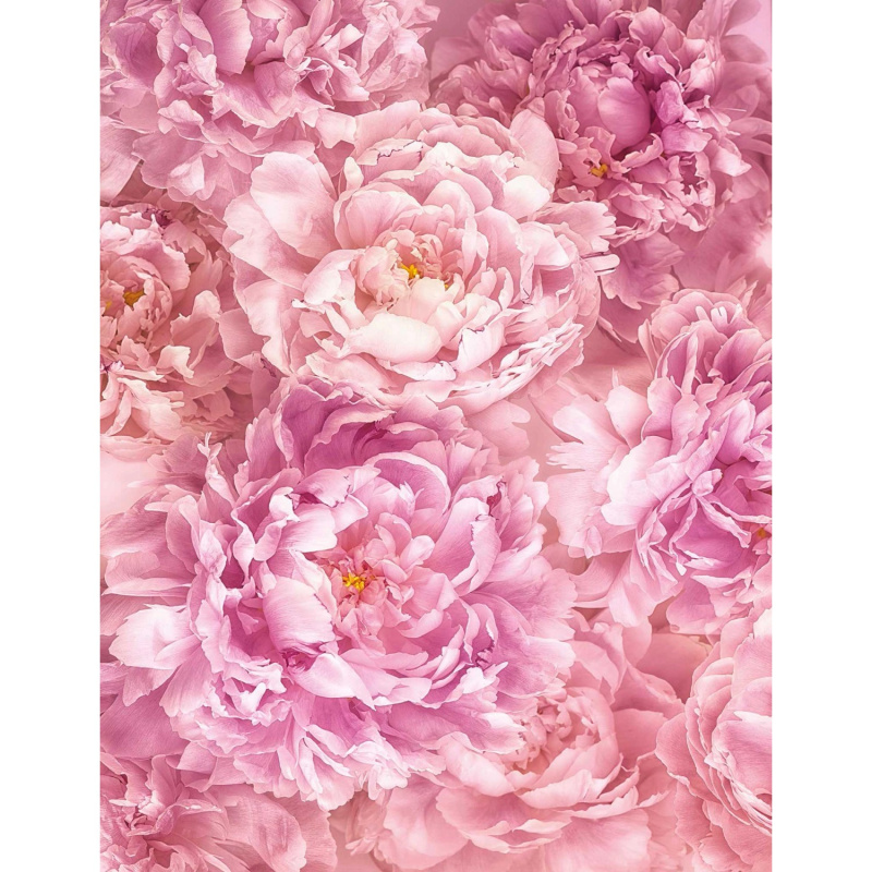 Komar Vliesová fototapeta Soave 200 x 260 cm