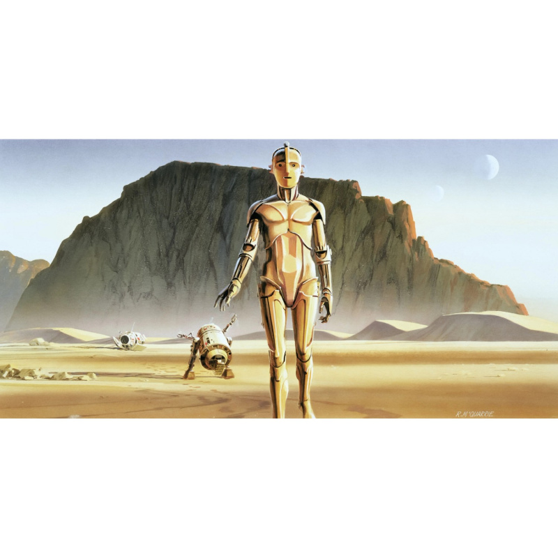 Komar Vliesová fototapeta Star Wars Classic RMQ Droids 500 x 250 cm