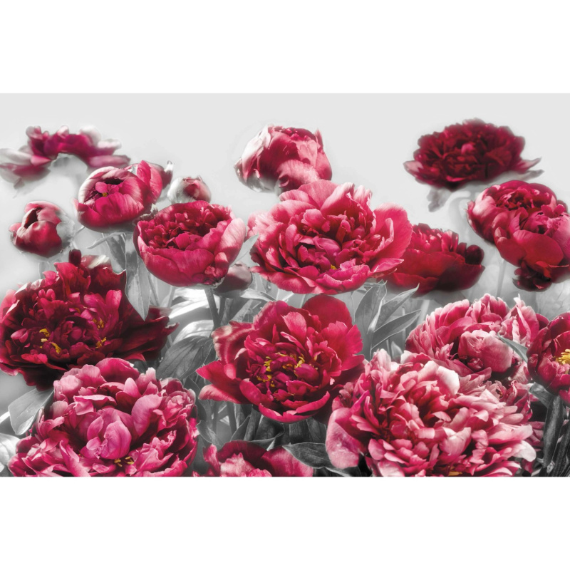 Komar Vliesová fototapeta Temptation 400 x 260 cm