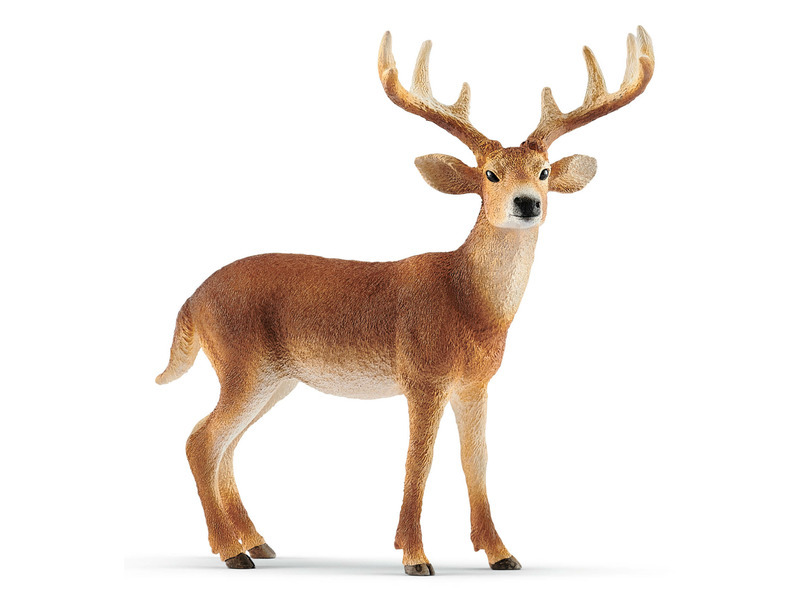 Schleich 14818 Jelen běloocasý