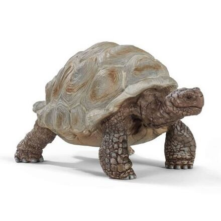 SCHLEICH Wild Life® 14824 Želva obrovská