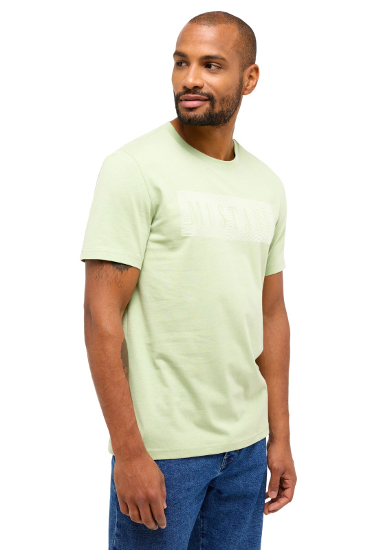 1014937 6190 Austin Regular Pánské tričko k.r.